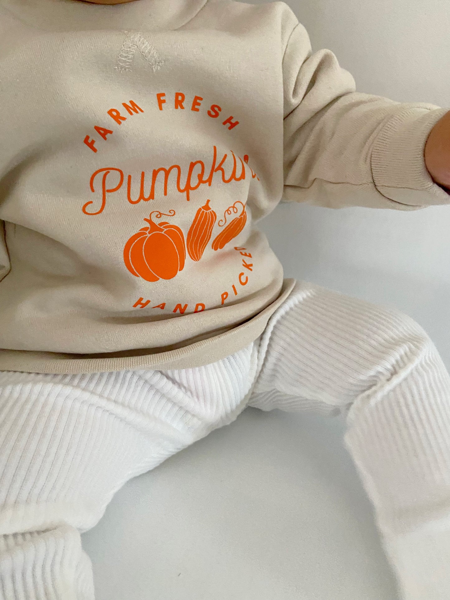 Farm Fresh Pumpkin Sweatshirt Stone