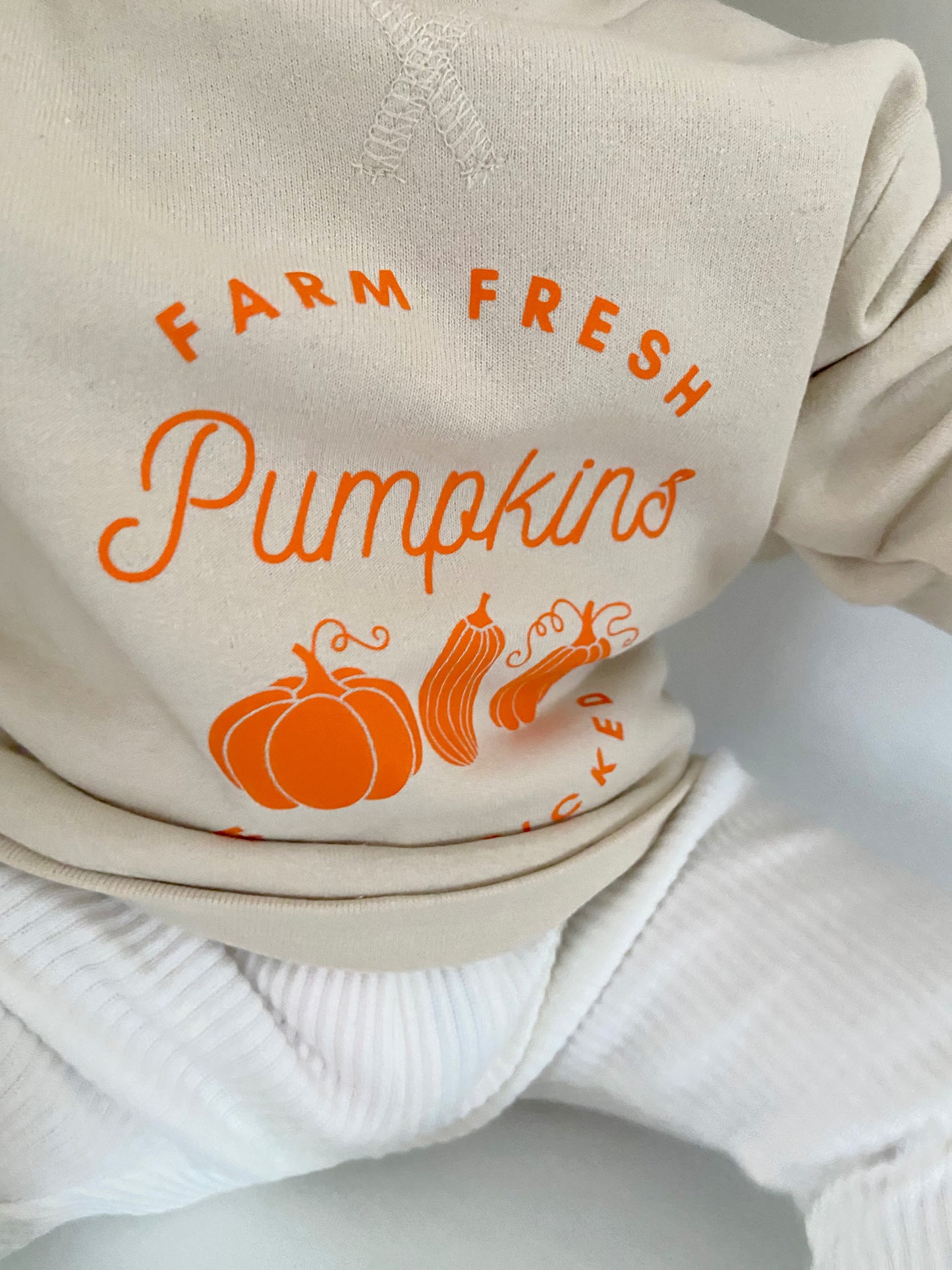 Farm Fresh Pumpkin Sweatshirt Stone