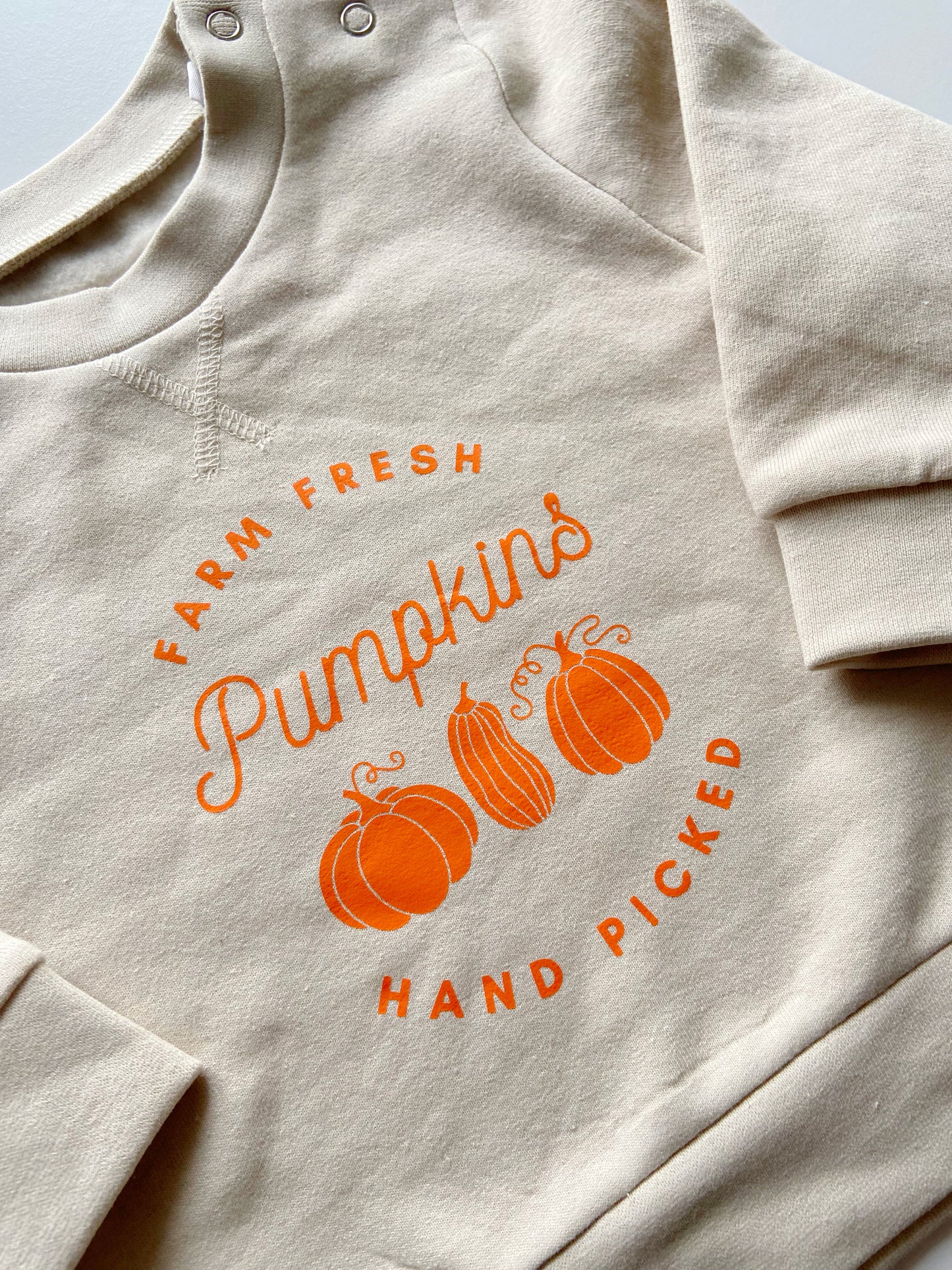 Farm Fresh Pumpkin Sweatshirt Stone